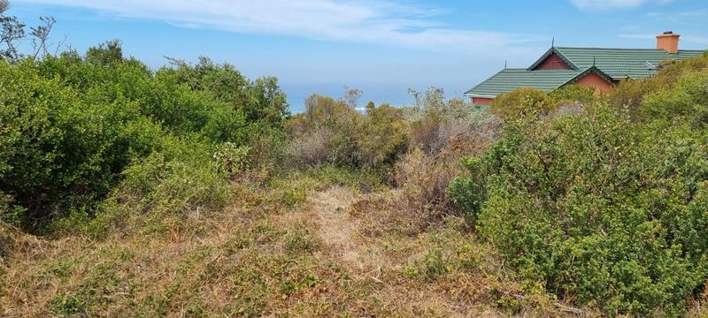 0 Bedroom Property for Sale in Outeniqua Strand Western Cape